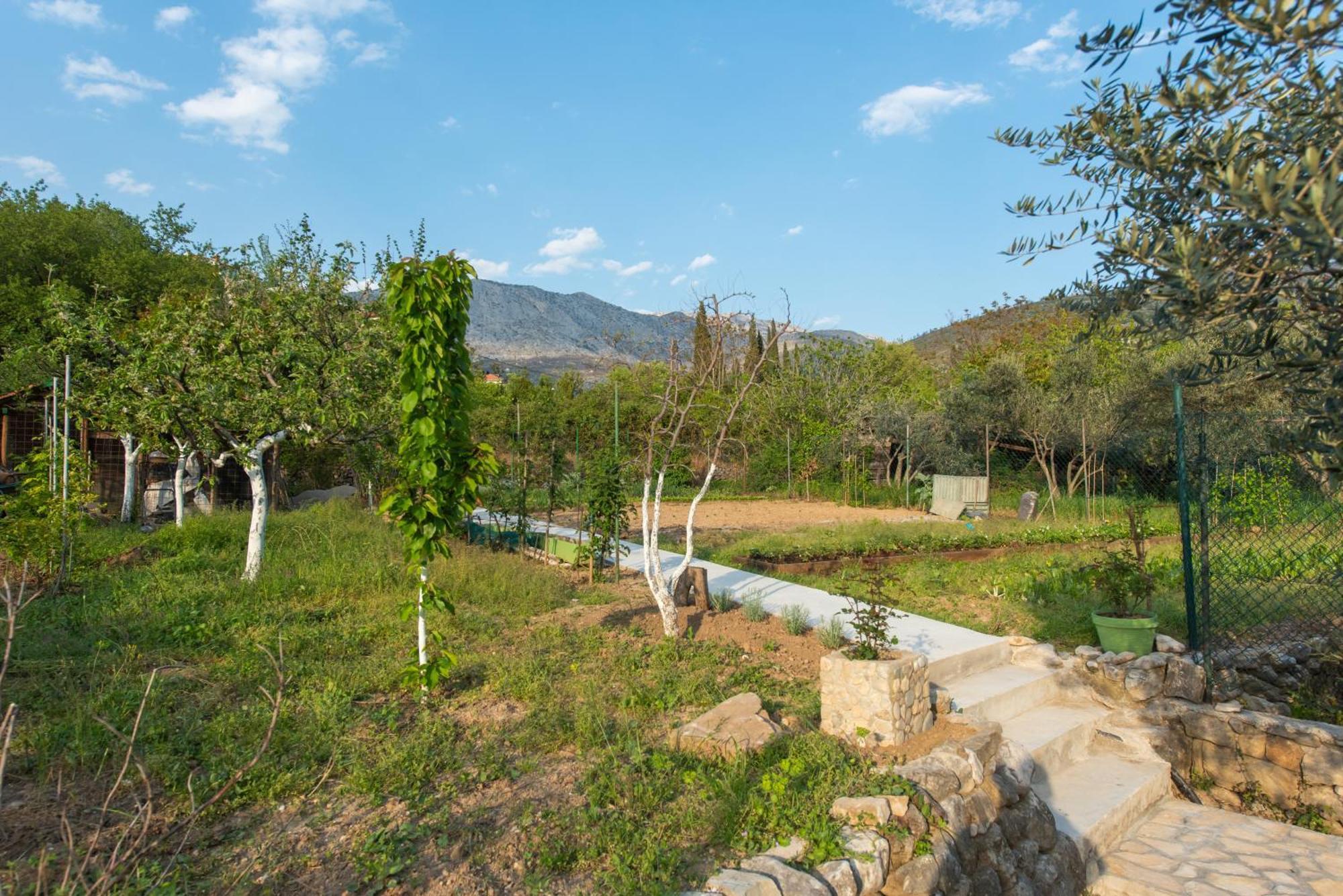 Villa Peace Point Žrnovnica Esterno foto